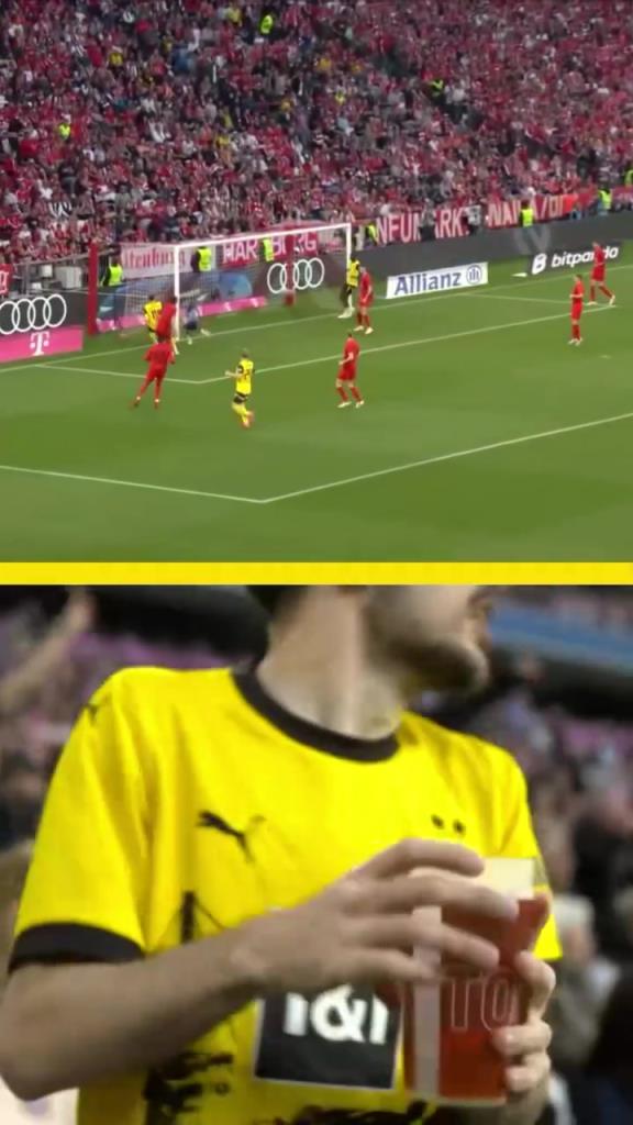 勇者無(wú)懼！這是真多特球迷！在拜仁球迷區(qū)一個(gè)人肆意慶祝！